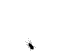 Grafik