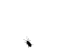 Grafik